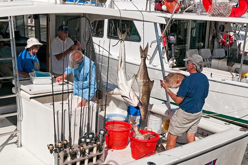 deep sea fishing charter