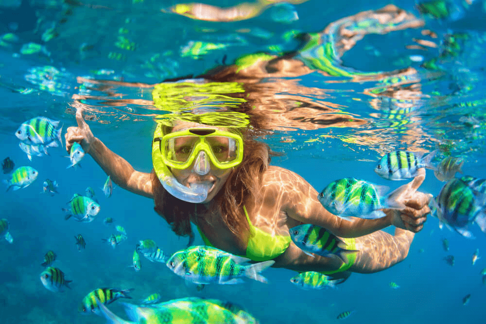 A photo of a woman snorkeling in Naples Florida.