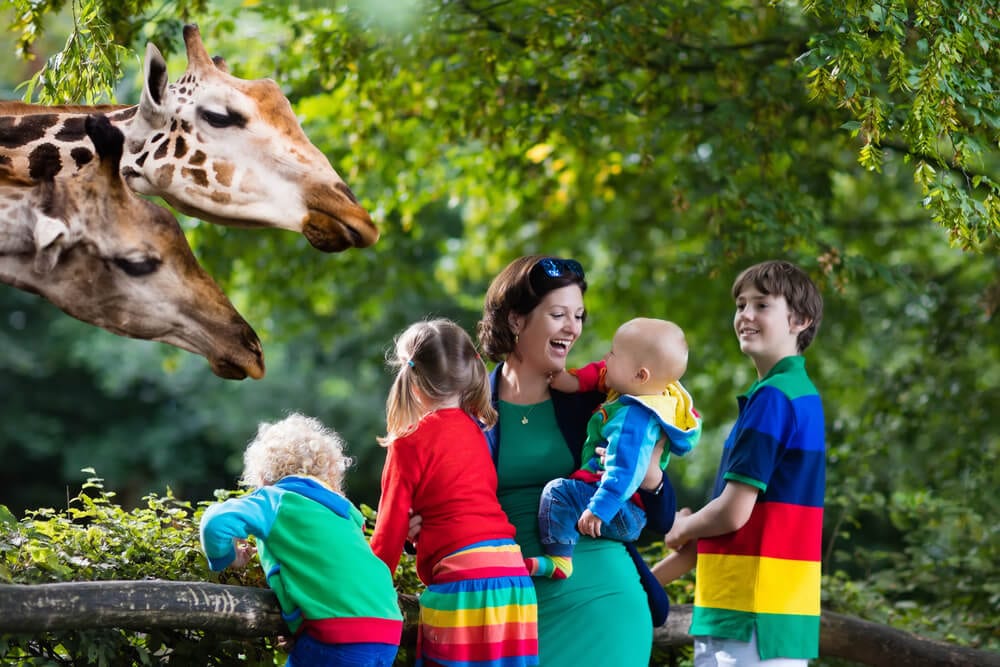 A photo of a family at the zoo, one of the many fun Naples kids activities.