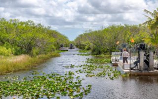 A group on an airboat tour through the Everglades, one of the popular tours in Naples.