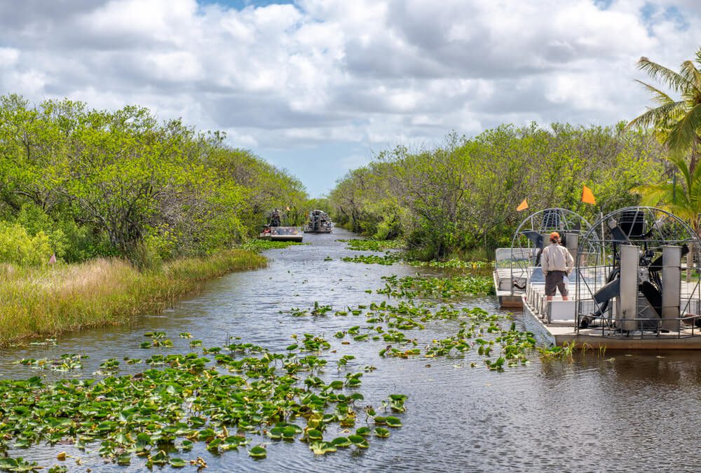 A group on an airboat tour through the Everglades, one of the popular tours in Naples.