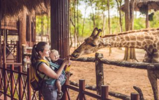 A mom and son feeding a giraffe, one of the various Florida wildlife experiences.