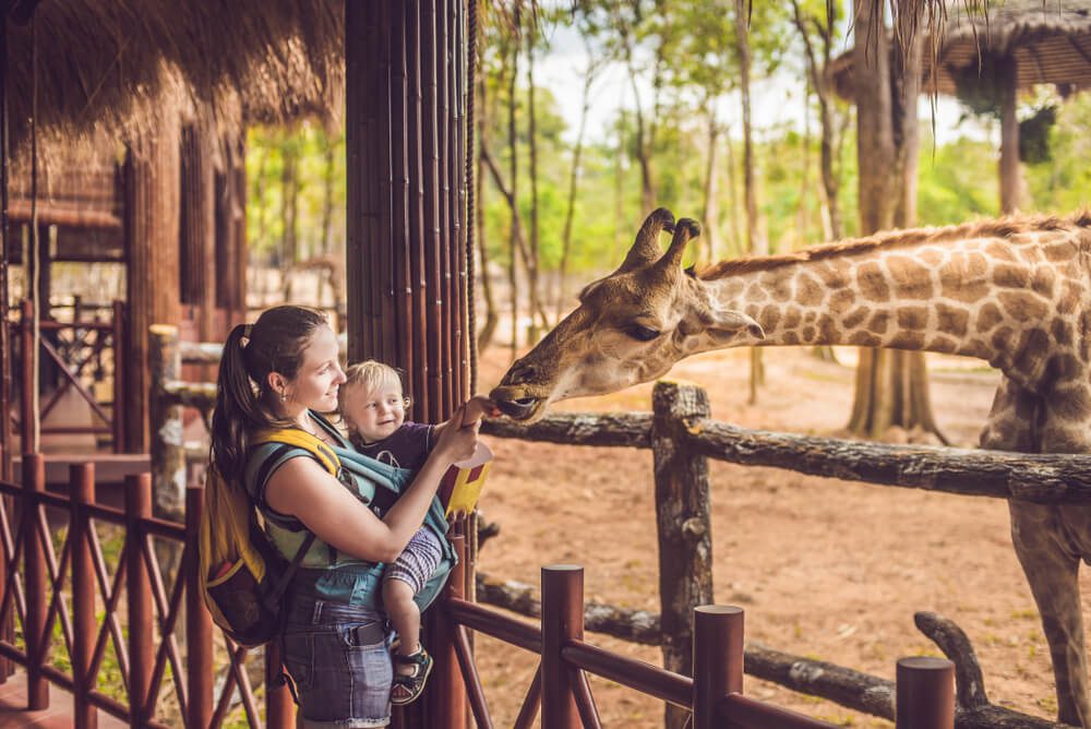 A mom and son feeding a giraffe, one of the various Florida wildlife experiences.