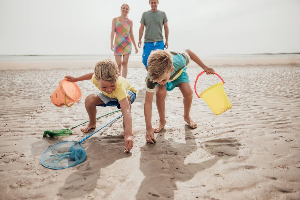 Looking for shells is one of the numerous things to do in Marco Island for families.