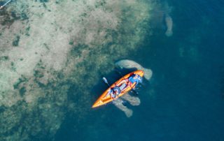 A group kayaking in Naples on a manatee sightseeing adventure.