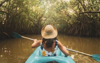 A person kayaking through mangroves, one of the unique things to do in Naples.